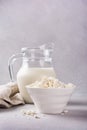 Healthy cottage cheese in white bowl with glass milk jug Royalty Free Stock Photo