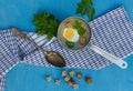 Healthy cream soup from aegopodium with croutons and egg in a bucket on a checkered napkin, top view Royalty Free Stock Photo