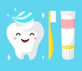 Healthy cute cartoon tooth character