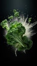 healthy Dark leafy greens falling with a splash of fresh water. Royalty Free Stock Photo