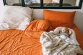 Healthy daytime sleep for the newborn. A child sleeps in the orthopedic Baby Cocoon on a larger bed in the parents room Royalty Free Stock Photo