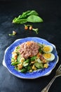 Healthy Tuna Salad with Eggs, Greens and Carrots Royalty Free Stock Photo