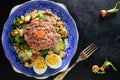 Healthy Tuna Salad with Eggs, Greens and Carrots Royalty Free Stock Photo