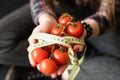 Healthy diet eating nutrition food organic tomato Royalty Free Stock Photo