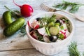 Healthy diet food: vegan vegetable salad with fresh cucumbers, radish, green onion, black olives, dill and feta cheese. Royalty Free Stock Photo