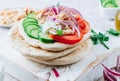 Healthy diet Gyros, greek pita bread wrapped sandwich with meat slices, tzatziki and fresh vegetables. Royalty Free Stock Photo