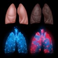 Healthy and diseased human lungs on black background