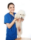 Healthy dog with veterinar Royalty Free Stock Photo