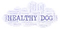 Healthy Dog word cloud. Royalty Free Stock Photo