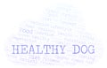 Healthy Dog word cloud. Royalty Free Stock Photo
