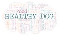 Healthy Dog word cloud. Royalty Free Stock Photo