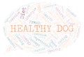 Healthy Dog word cloud. Royalty Free Stock Photo