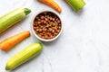 Healthy dogfood set with vegetables on white table top view mock-up Royalty Free Stock Photo