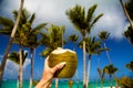 Healthy drink on a Caribbean beach. Pineapple and coconut handheld on beach among palm trees.