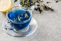 Blue butterfly pea flower tea Royalty Free Stock Photo