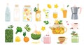 Healthy drinks set. Vector summer beverage. Vegan, vegetarian drinks collection