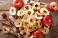 Healthy eating apple chips with cinnamon and star anise closeup on a plate. Horizontal top view Royalty Free Stock Photo