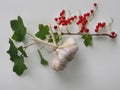 Healthy eating. Close-up of a branch of a red currant bush and a bunch of three garlic