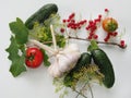 Close-up of a branch of a red currant bush, a bunch of three garlic, three cucumbers, two tomatoes and dill branches