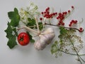 Healthy eating. Close-up of a branch of a red currant bush, a bunch of three garlic, tomato and dill branches