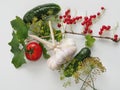 Close-up of a branch of a red currant bush, a bunch of three garlic, two cucumbers, a tomato and dill branches