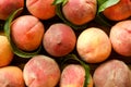 Healthy eating concept. Wooden tray fully stacked with local produce farm grown organic ripe peaches. Royalty Free Stock Photo