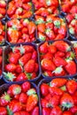 Healthy Eating Concepts. Closeup of Fresh Strawberries in Separate Packages