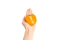 Healthy eating and diet Topic: Human hand holding a half of persimmons isolated on white background in the studio, first-person vi Royalty Free Stock Photo