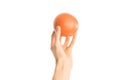 Healthy eating and diet topic: human hand holding a red grapefruit isolated on a white background in the studio, first-person view Royalty Free Stock Photo