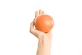 Healthy eating and diet topic: human hand holding a red grapefruit isolated on a white background in the studio, first-person view Royalty Free Stock Photo