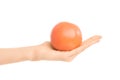 Healthy eating and diet topic: human hand holding a red grapefruit isolated on a white background in the studio Royalty Free Stock Photo