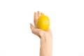 Healthy eating and diet Topic: Human hand holding yellow lemon isolated on a white background in the studio, first-person view Royalty Free Stock Photo