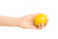 Healthy eating and diet Topic: Human hand holding yellow lemon isolated on a white background in the studio Royalty Free Stock Photo