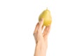 Healthy eating and diet Topic: Human hand holding yellow pear isolated on a white background in the studio, first-person view Royalty Free Stock Photo