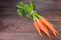 Healthy eating and dieting concept,fresh carrot on a grey wood