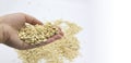 close up of woman hand holding handfull oatmeal flakes over white