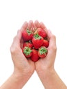 Healthy eating, dieting, vegetarian food and people concept - close up of woman hands holding strawberries at home Royalty Free Stock Photo