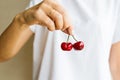 Healthy eating, dieting, vegetarian food and people concept- closeup of woman hand holding fresh berries cherry wearing white Royalty Free Stock Photo