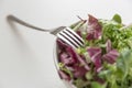 Healthy eating, dieting, vegetarian and vegan kitchen and cooking concept - close up of green salad bowl and fork at home