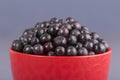 Healthy eating, food, dieting and vegetarian concept - fresh, ripe blueberries in bowl, wild berry, closeup. Fresh blueberry on gr