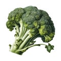 Healthy eating Fresh broccoli salad with organic kale