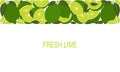 Vector fresh lime template suitable for banners, magazines, websites, restaurants and menus.