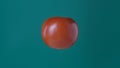Healthy fruits and vegetables creative concept. Closeup studio shot of red tomato isolated on green background. Royalty Free Stock Photo