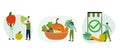 Healthy eating illustration set. Character buying fresh organic fruit, vegetables in online grocery shop Royalty Free Stock Photo