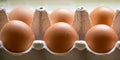 Bio eggs in a box Royalty Free Stock Photo