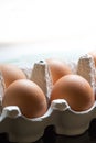 Bio eggs in a box Royalty Free Stock Photo