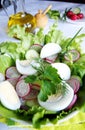 Healthy enrich summer vegetable salad Royalty Free Stock Photo