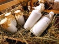 Healthy farm products. Aluminum cans and glass bottles with fresh natural milk on the hay in the hayloft of a dairy farm Royalty Free Stock Photo