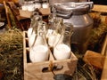 Healthy farm products. Aluminum cans and glass bottles with fresh natural milk on the hay in the hayloft of a dairy farm Royalty Free Stock Photo