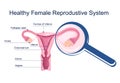 Healthy female reproductive system. Medical schema with uterus and cervix anatomy. Magnifying glass zooms ovary with eggs.